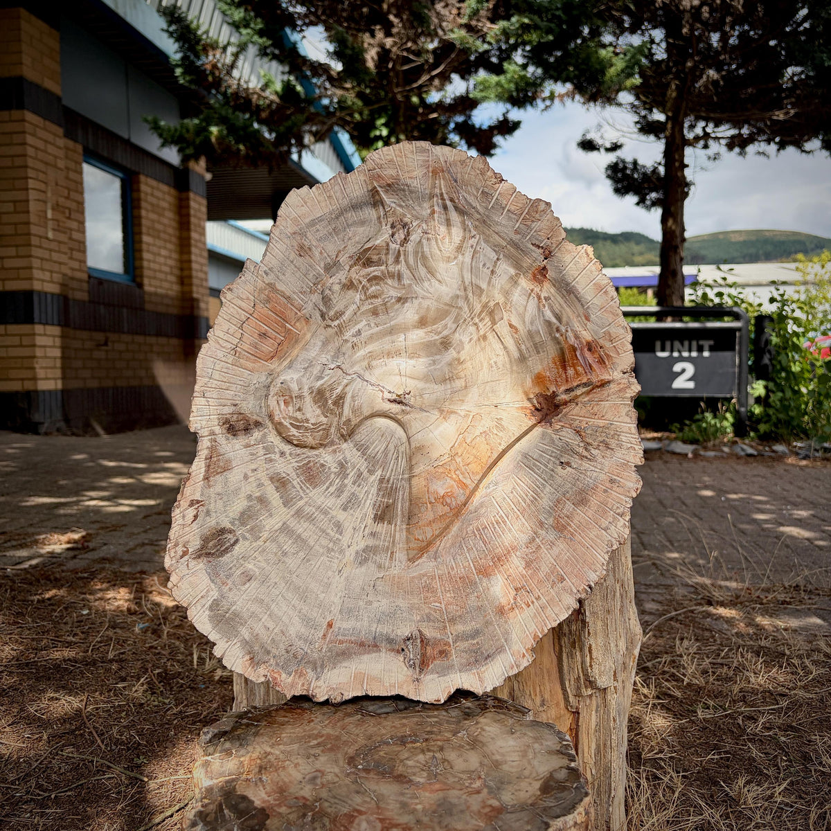 Hand-carved petrified wood horse sculpture made from natural fossil wood.