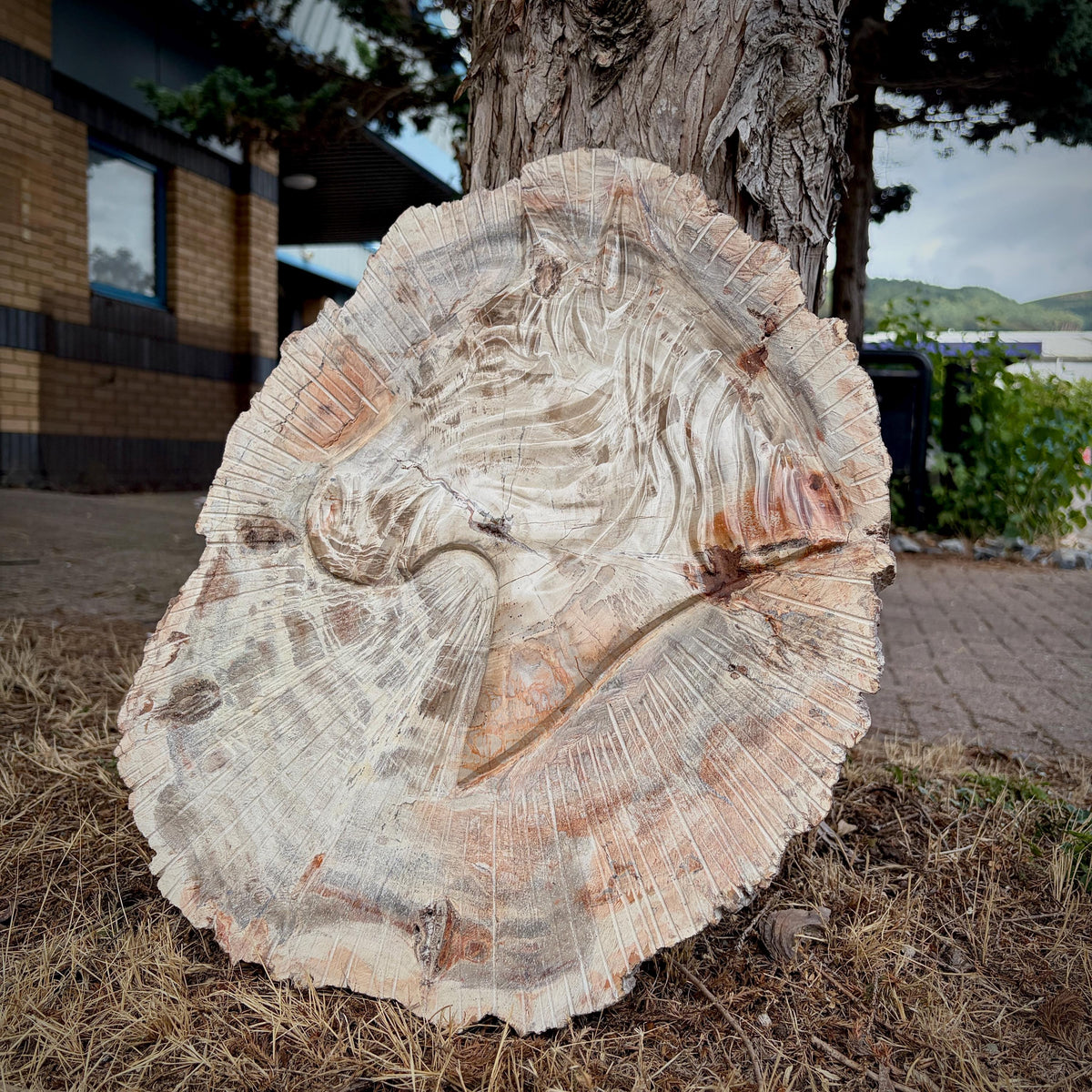 Large hand-carved petrified wood horse sculpture shown to demonstrate its impressive size.