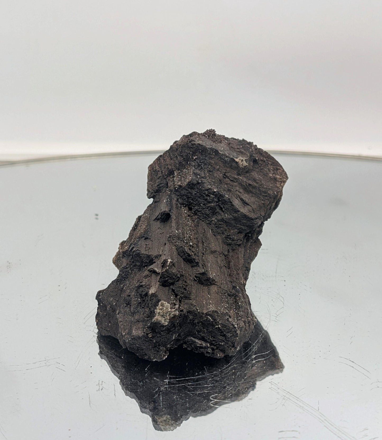 Stunning fossilized wood with sparkling quartz druzy, perfect decor.
