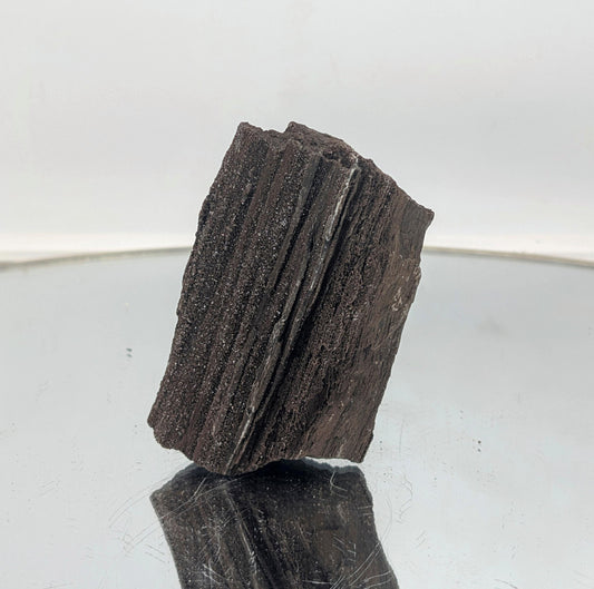 Rare petrified wood with quartz druzy, a high-end decor statement.