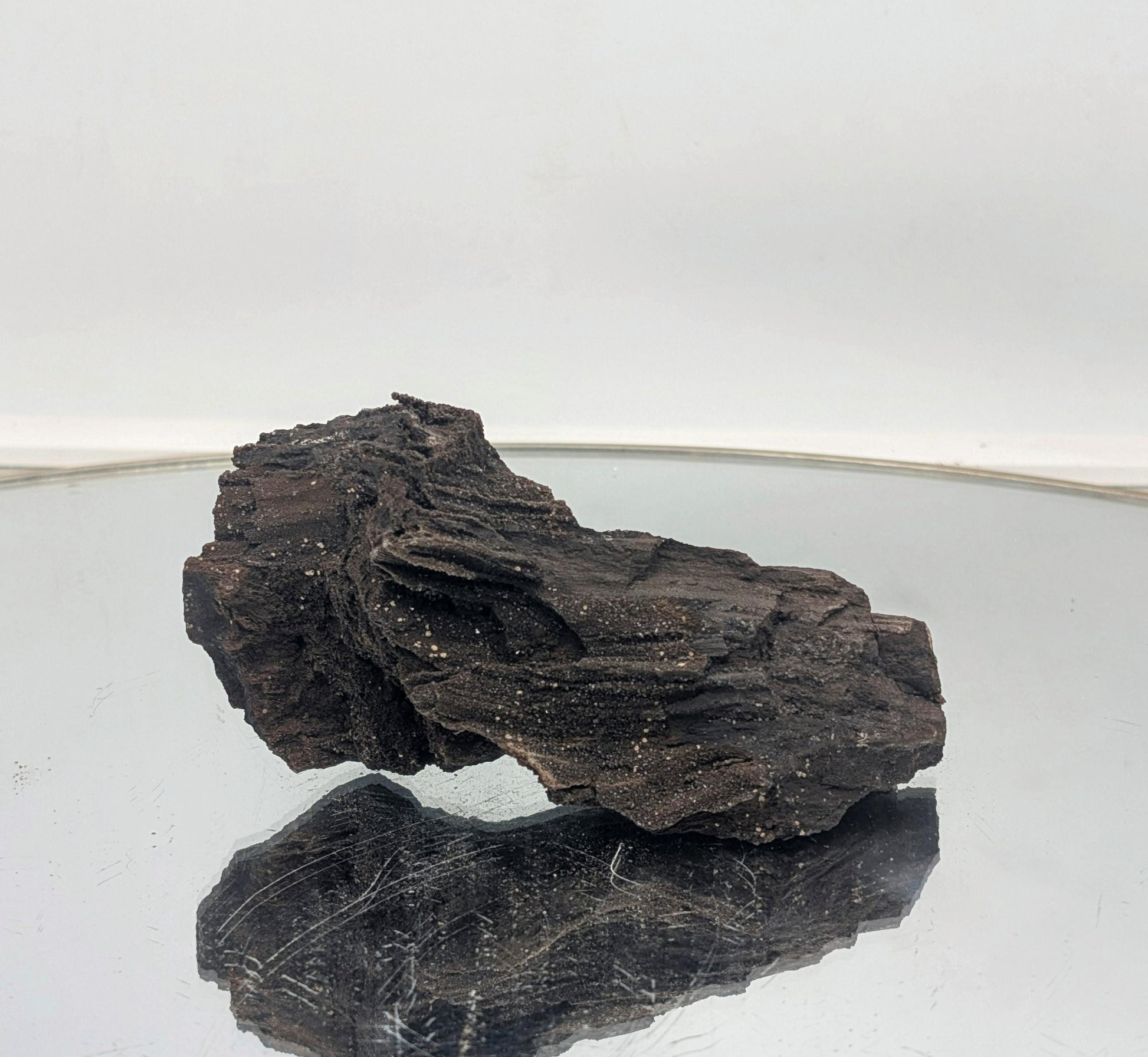 Rare petrified wood with shimmering quartz druzy, ideal for collectors.