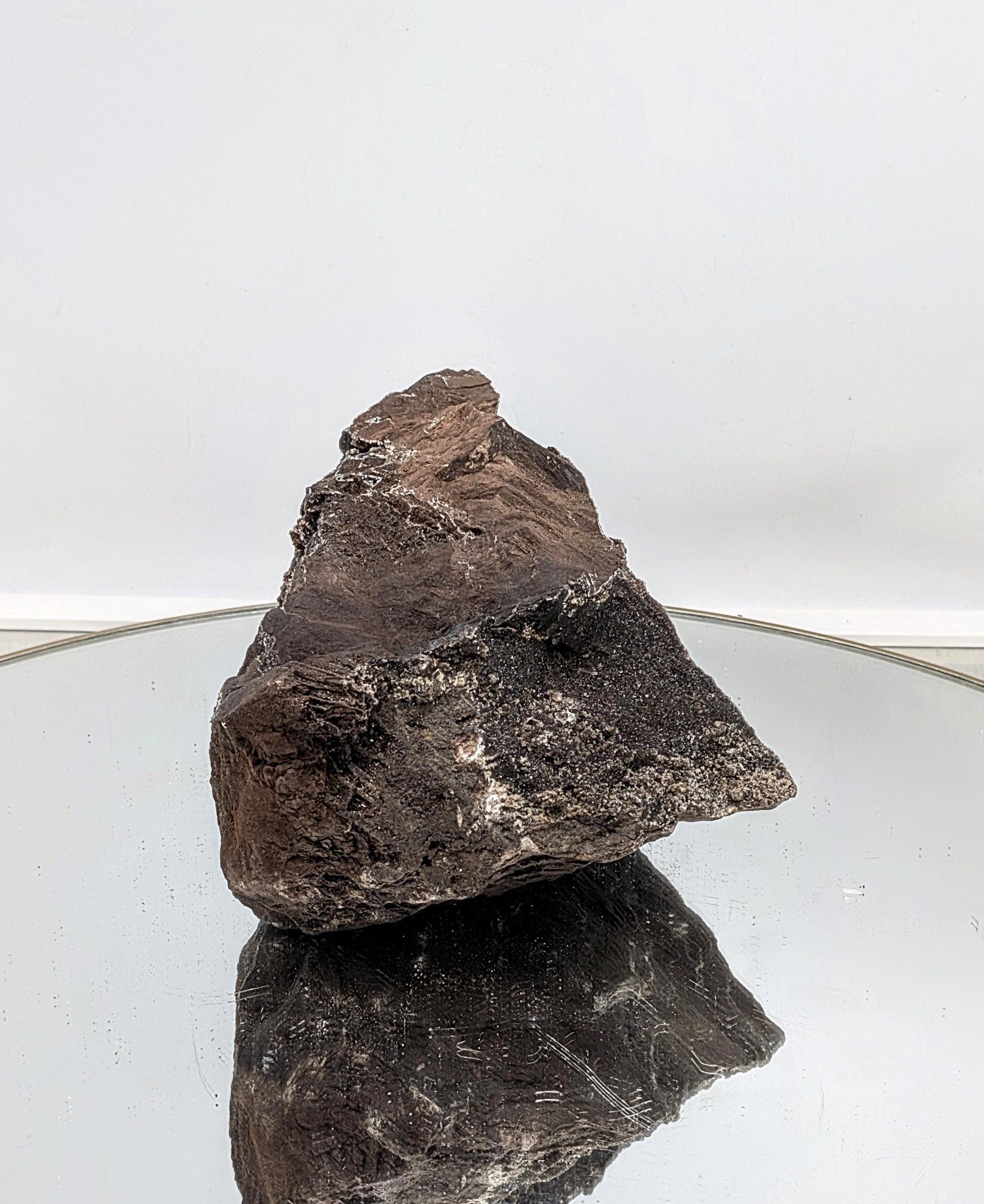 Petrified wood specimen with quartz druzy crystals