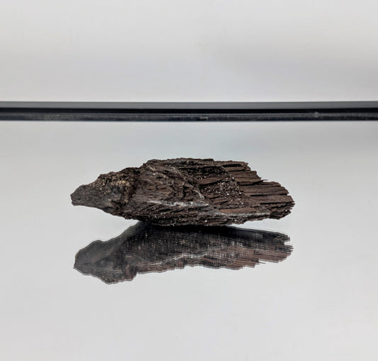 A designer decor piece—natural petrified wood with quartz druzy.