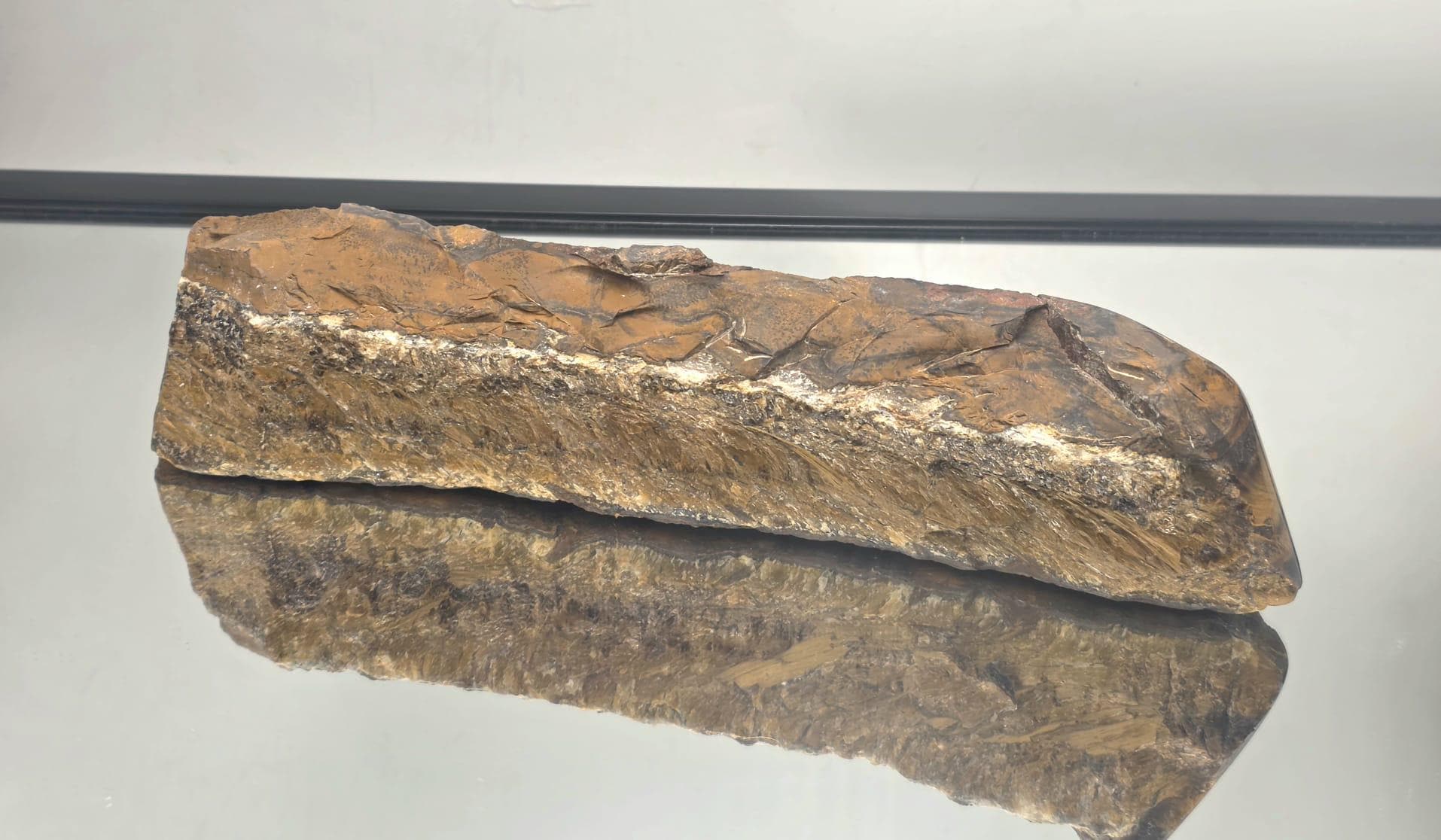 Polished and raw contrast on natural Tiger’s Eye slice