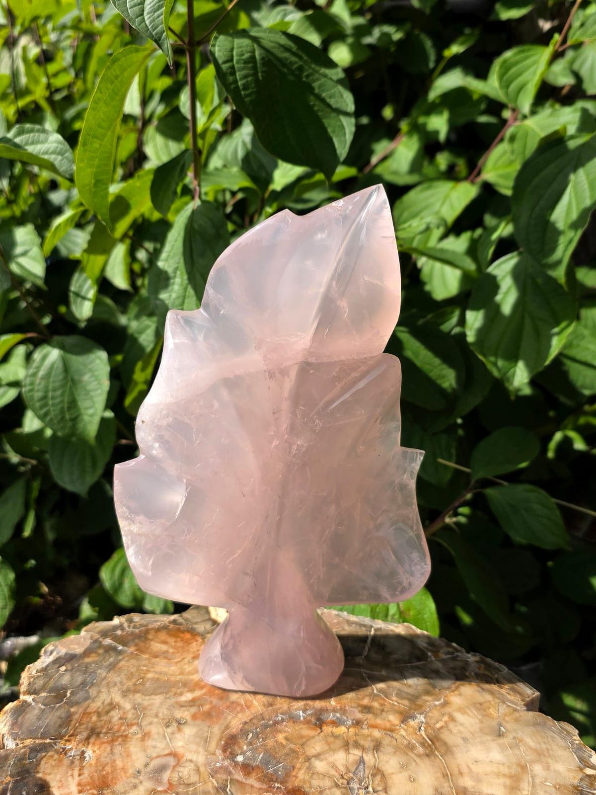Botanical Rose Quartz sculpture showcasing natural blush tones.