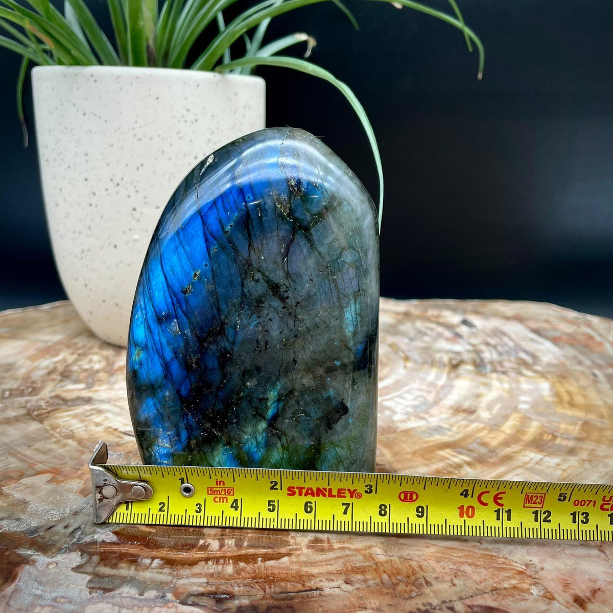 Polished natural Labradorite crystal