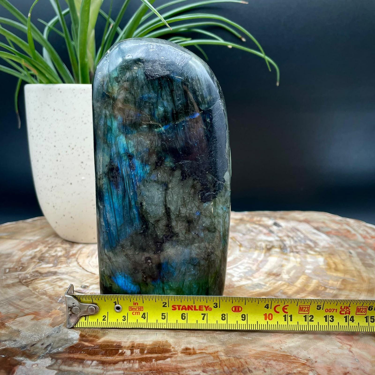 Polished Labradorite crystal display piece