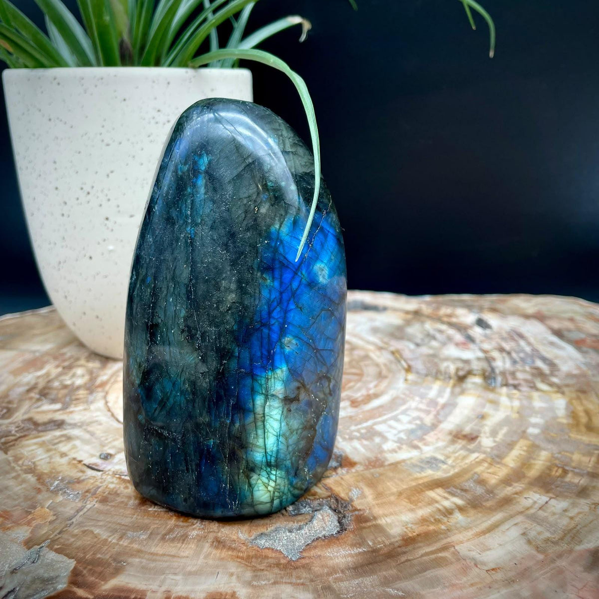 Polished Labradorite home accessory