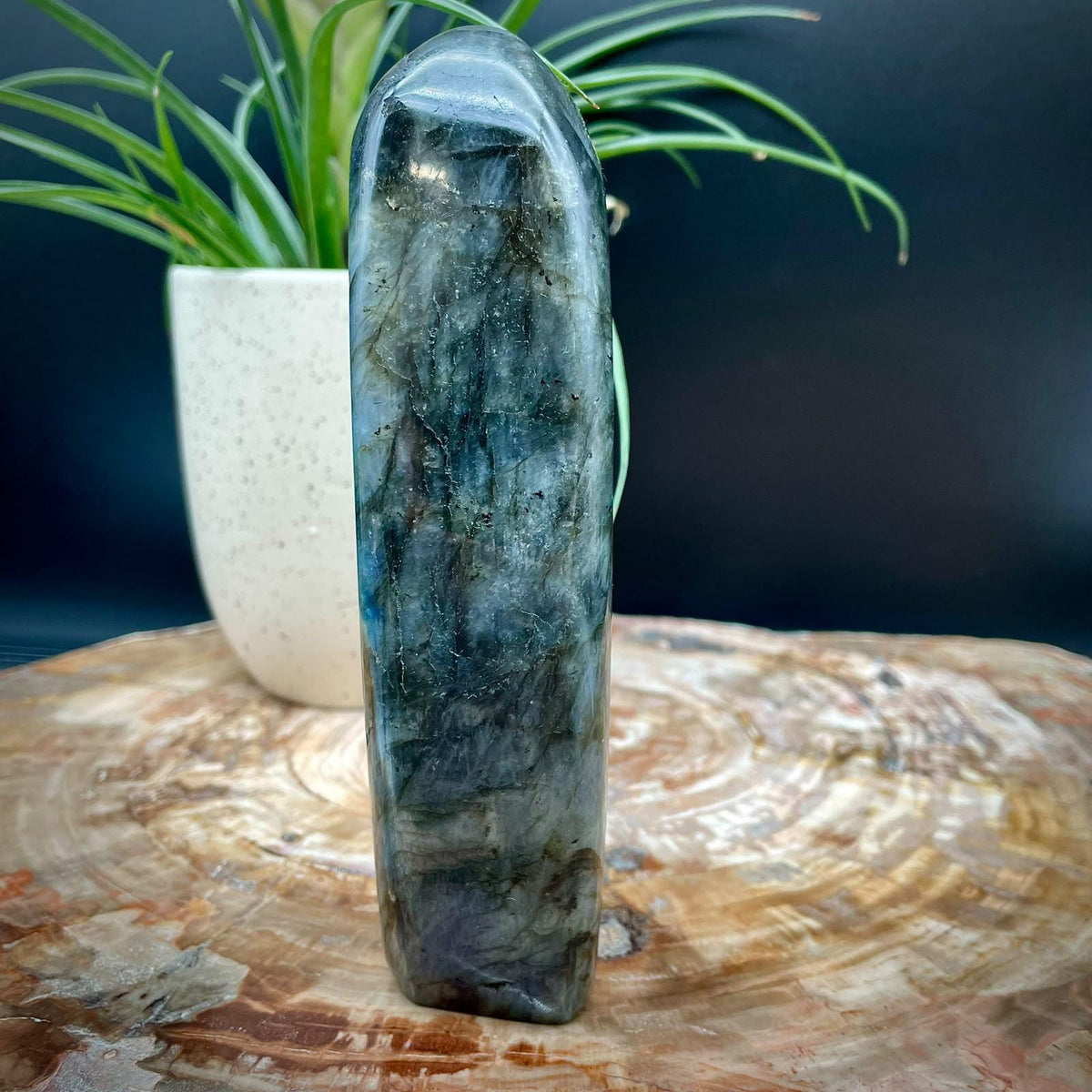 Polished Labradorite mineral display piece