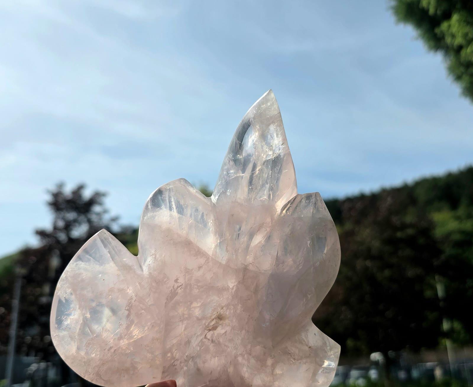 Polished Rose Quartz crystal leaf with elegant botanical styling.