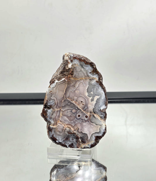 Polished Mexican Agate Geode perfect as a decorative display stone.