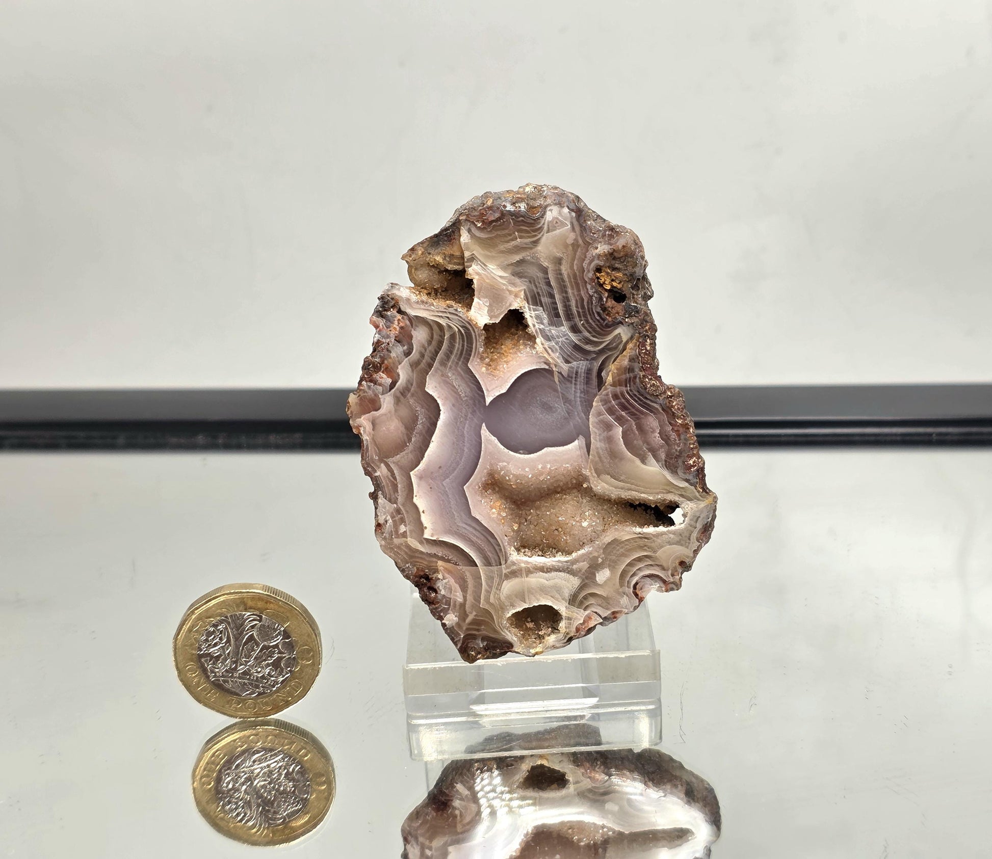 Polished Mexican Agate Geode featuring pastel tones and layered patterns.