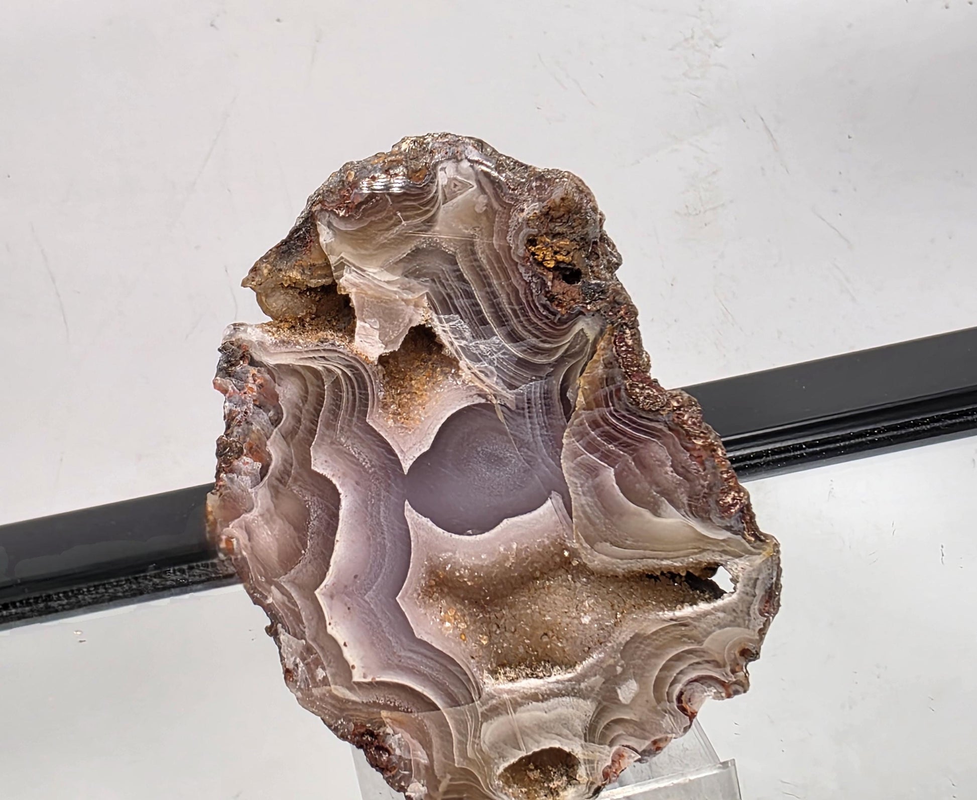 Polished Mexican Agate Geode showcasing natural color contrasts.