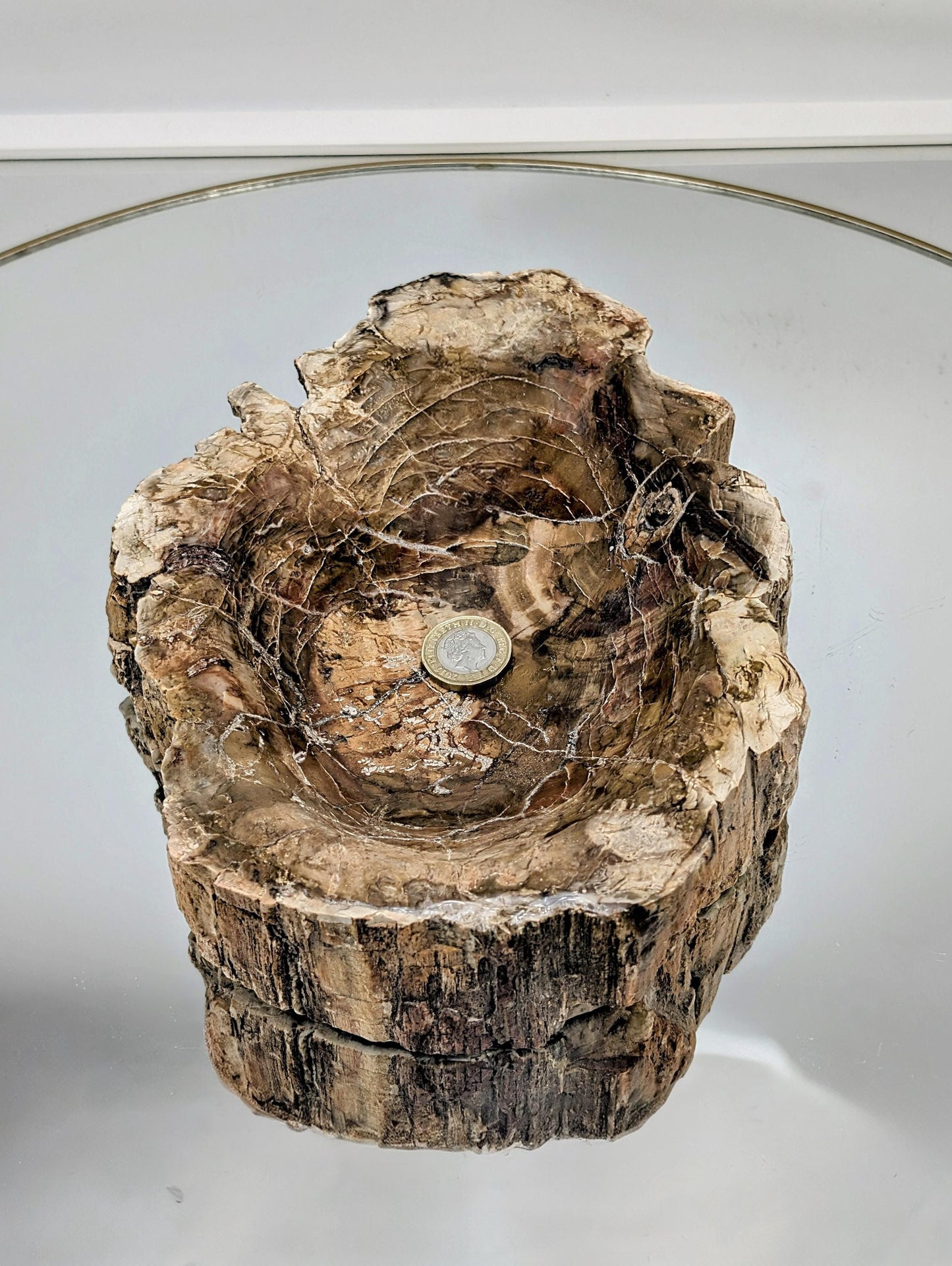 Hand-polished petrified wood bowl with unique grain