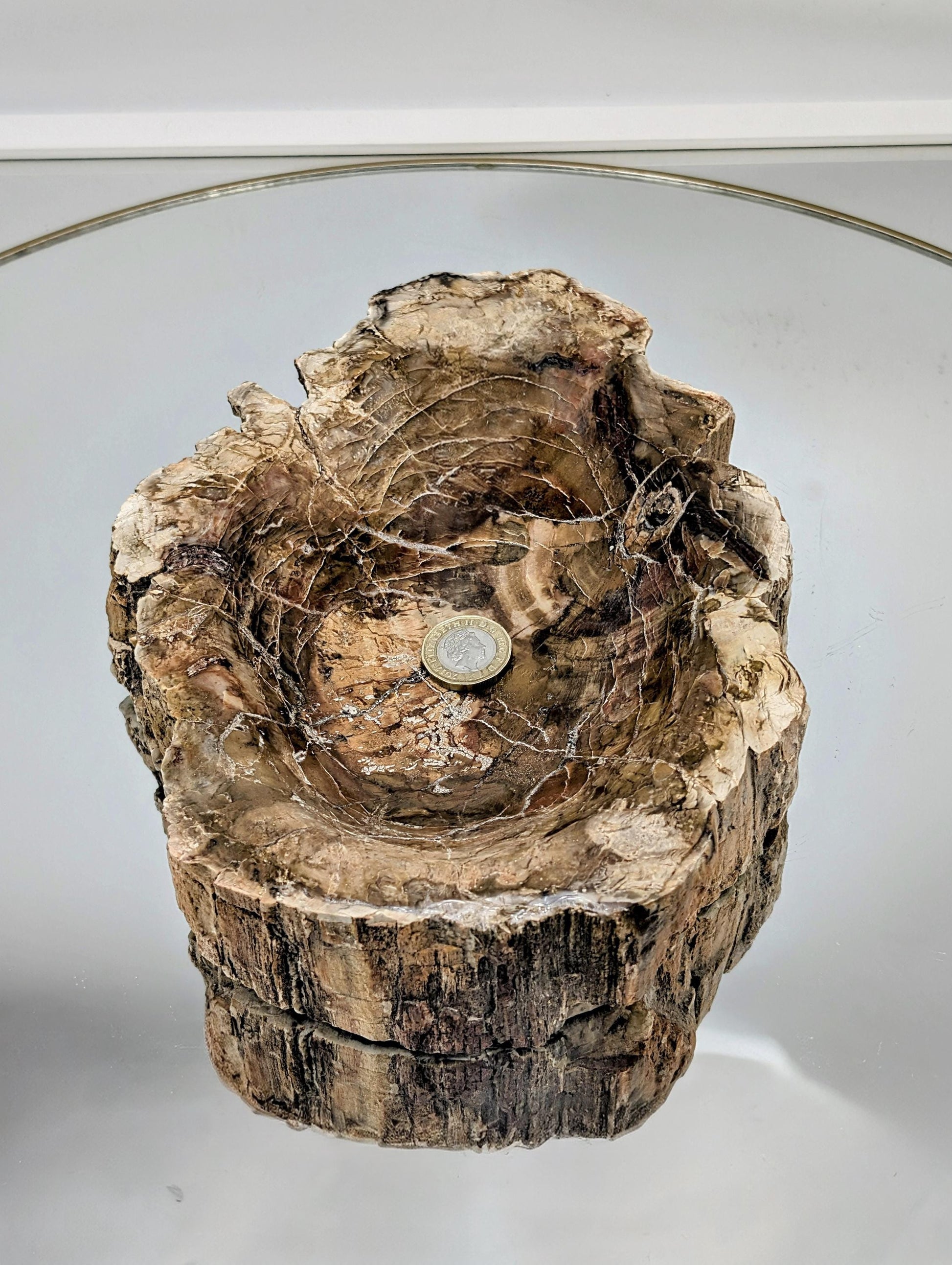 Hand-polished petrified wood bowl with unique grain