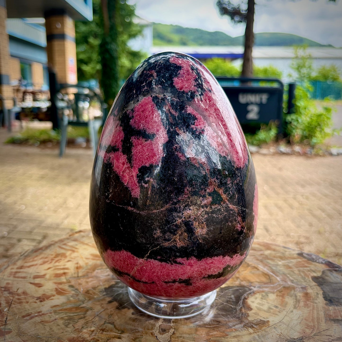 A polished rhodonite egg crystal with prominent magenta-pink patches and black veining, resting atop a wooden surface.