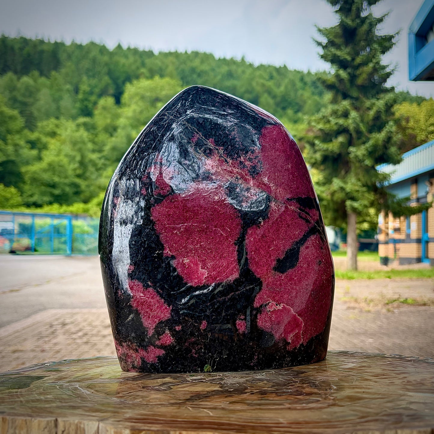 A polished, free-standing rhodonite crystal sculpture showing a vibrant mix of magenta-pink patches and deep black manganese matrix.
