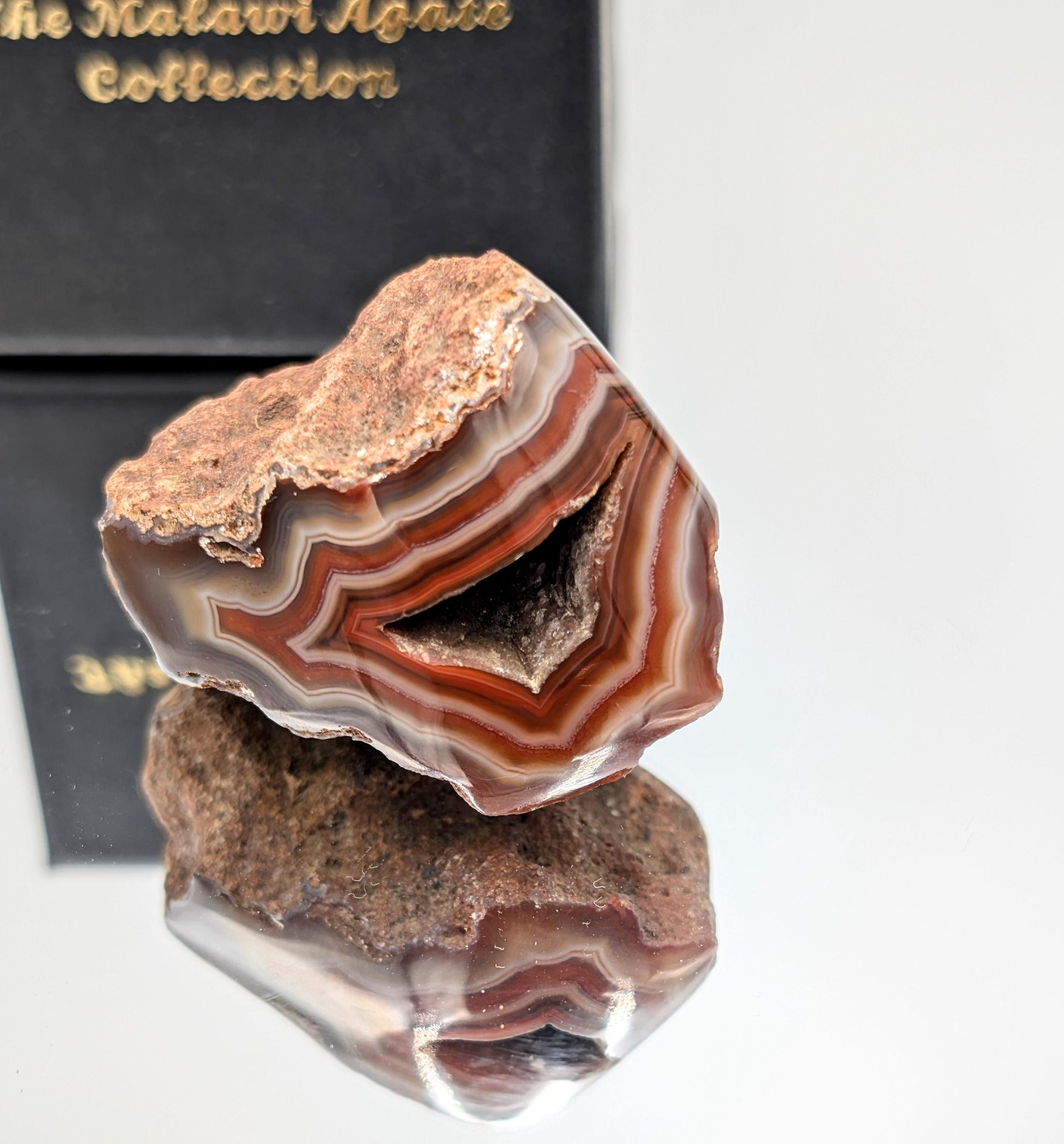 A premium polished Malawi agate specimen, ideal for collectors.
