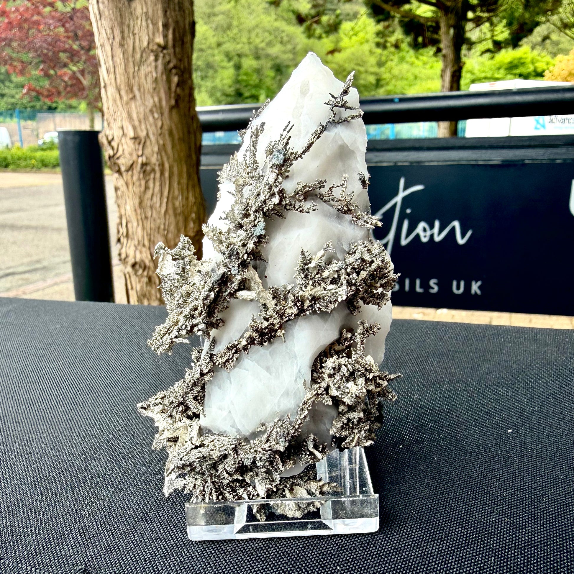 Front view of a premium Native Silver showpiece highlighting its sculptural depth and natural reflectivity.