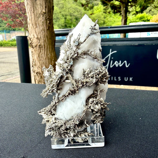 Front view of a premium Native Silver showpiece highlighting its sculptural depth and natural reflectivity.