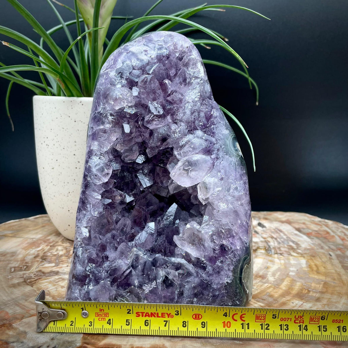 Premium Uruguayan Amethyst cut base with natural crystal formation