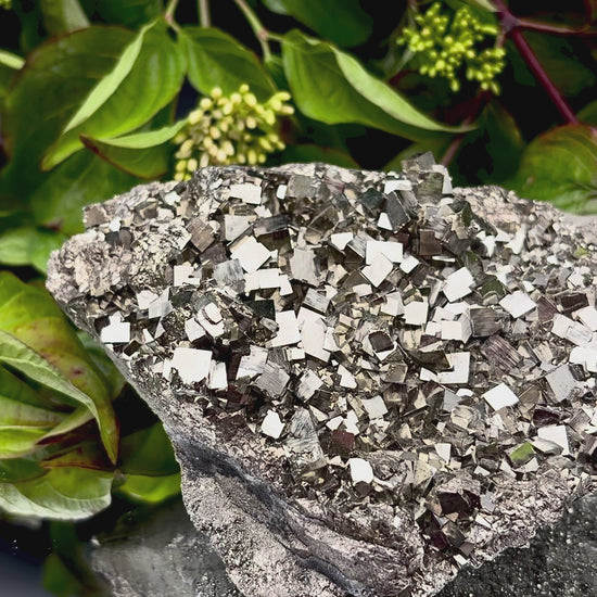 Video panning across a large Pyrite cluster to show its shimmering, light-reflecting crystals.