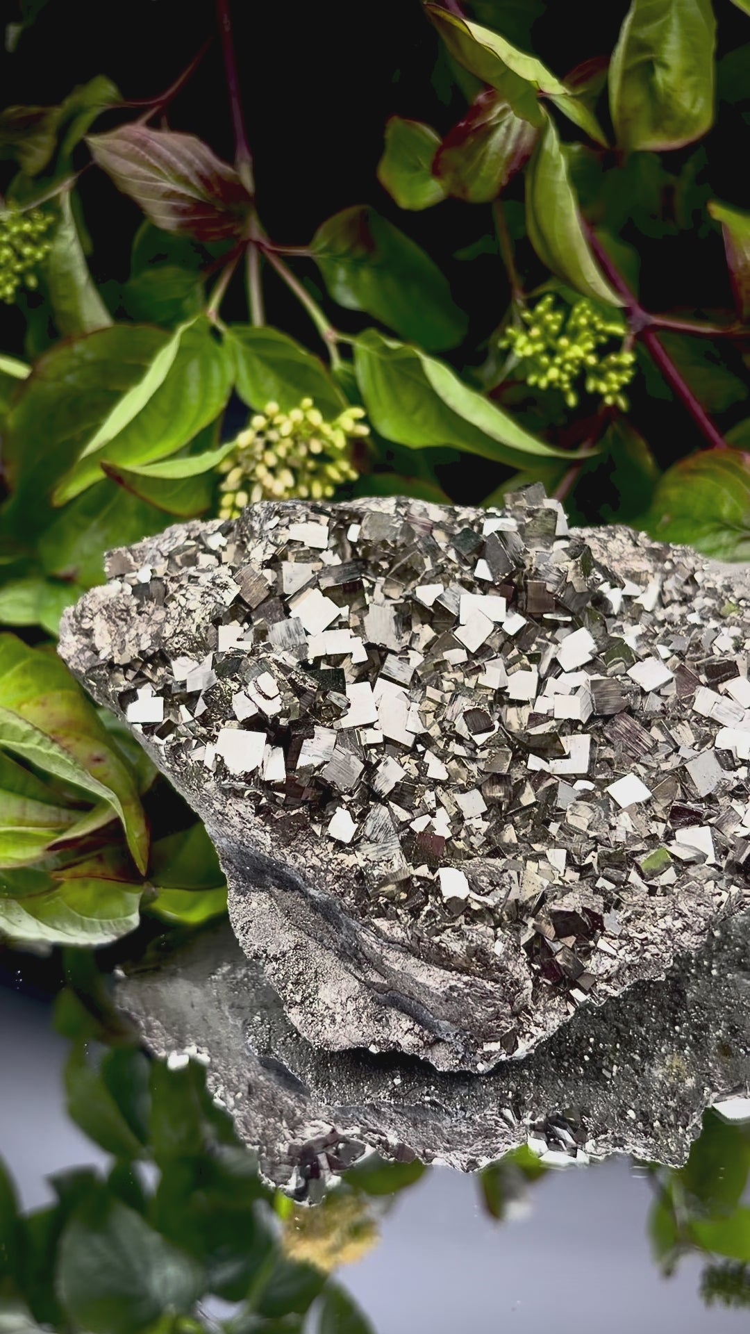 Video panning across a large Pyrite cluster to show its shimmering, light-reflecting crystals.