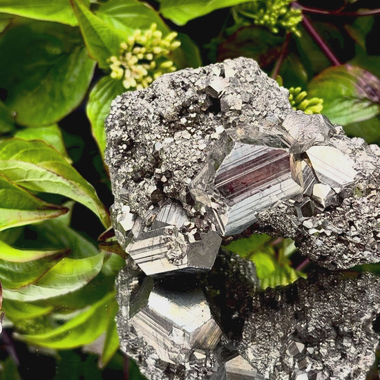 Video panning across a Pyrite cluster to show its shimmering, light-reflecting crystals.