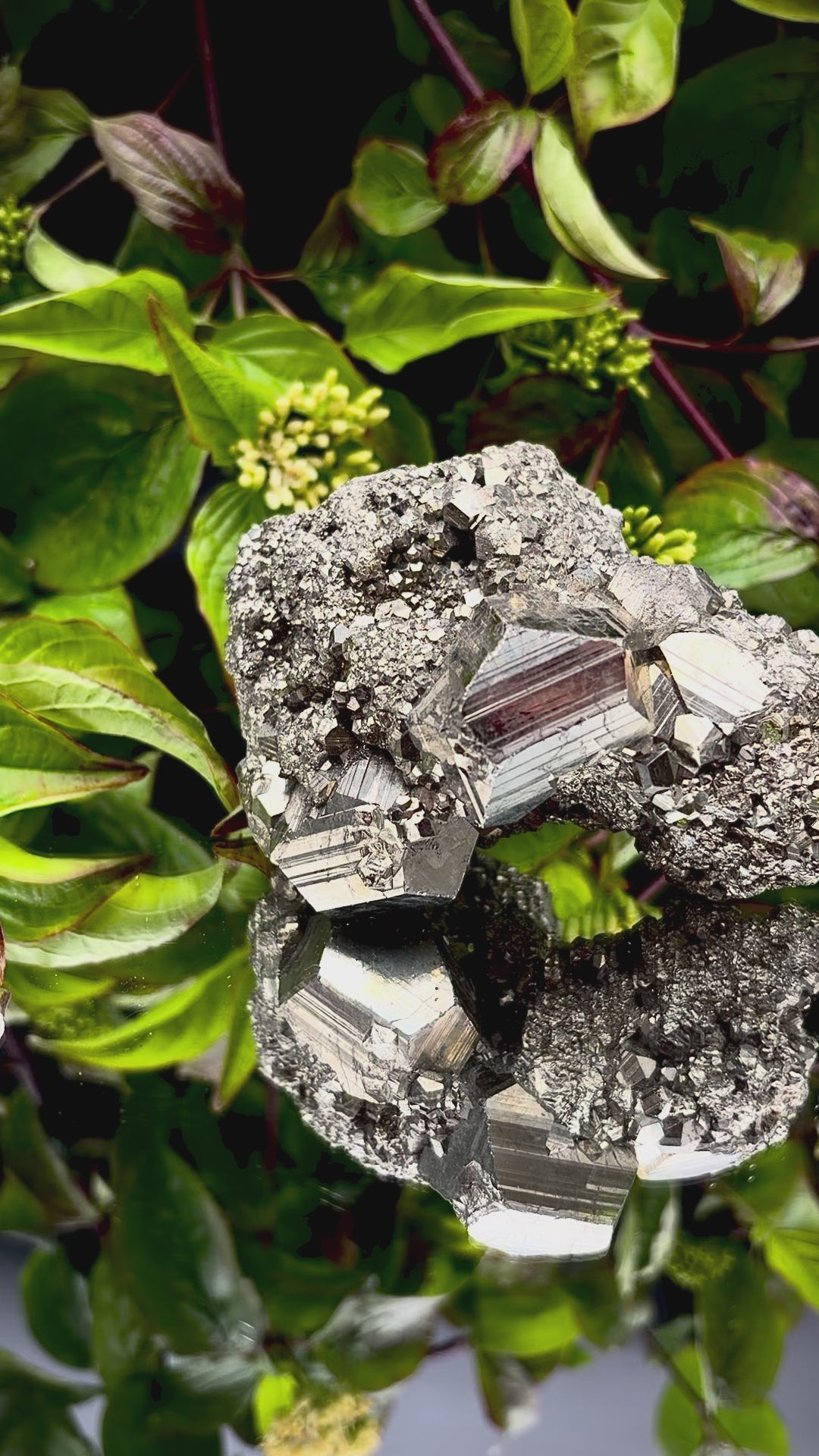 Video panning across a Pyrite cluster to show its shimmering, light-reflecting crystals.