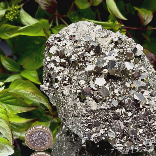 Video panning across a large Pyrite cluster to show its shimmering, light-reflecting crystals.