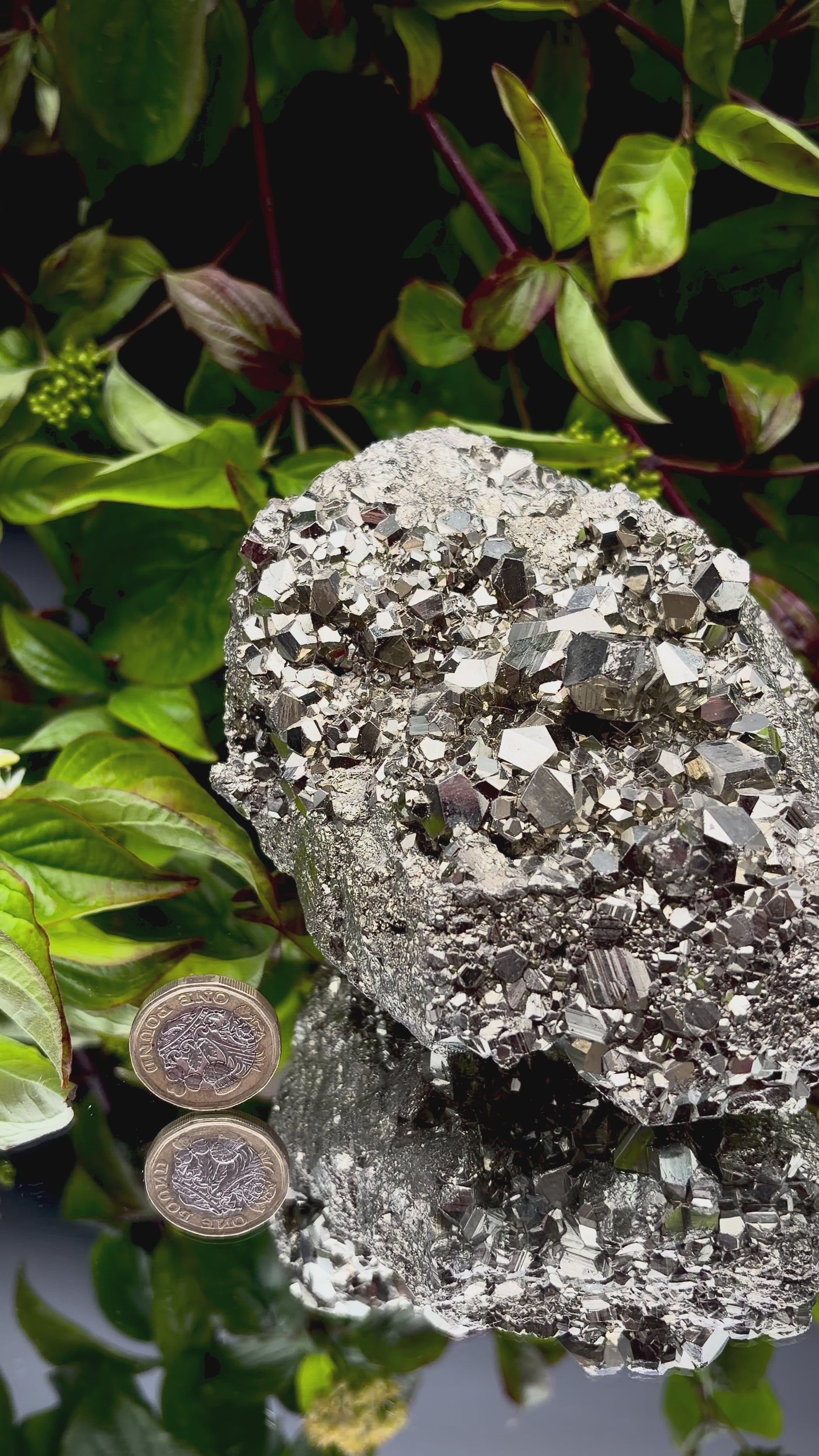 Video panning across a large Pyrite cluster to show its shimmering, light-reflecting crystals.