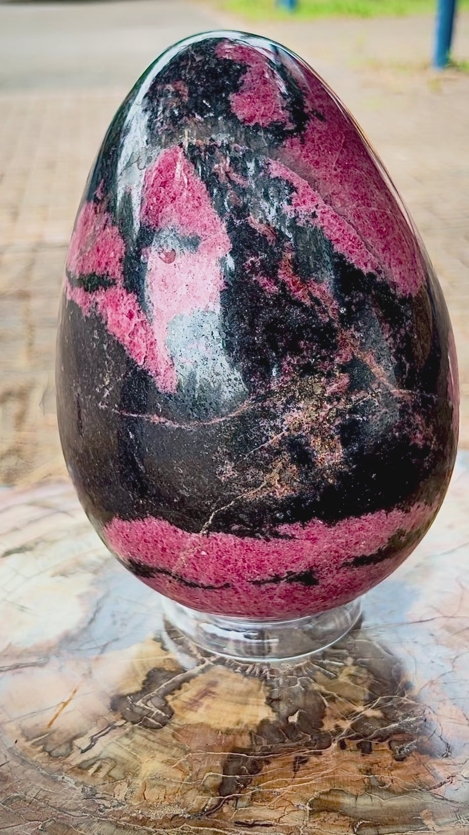 Video showcasing a polished rhodonite crystal egg to reveal its natural pink inclusions and black patterns in daylight.