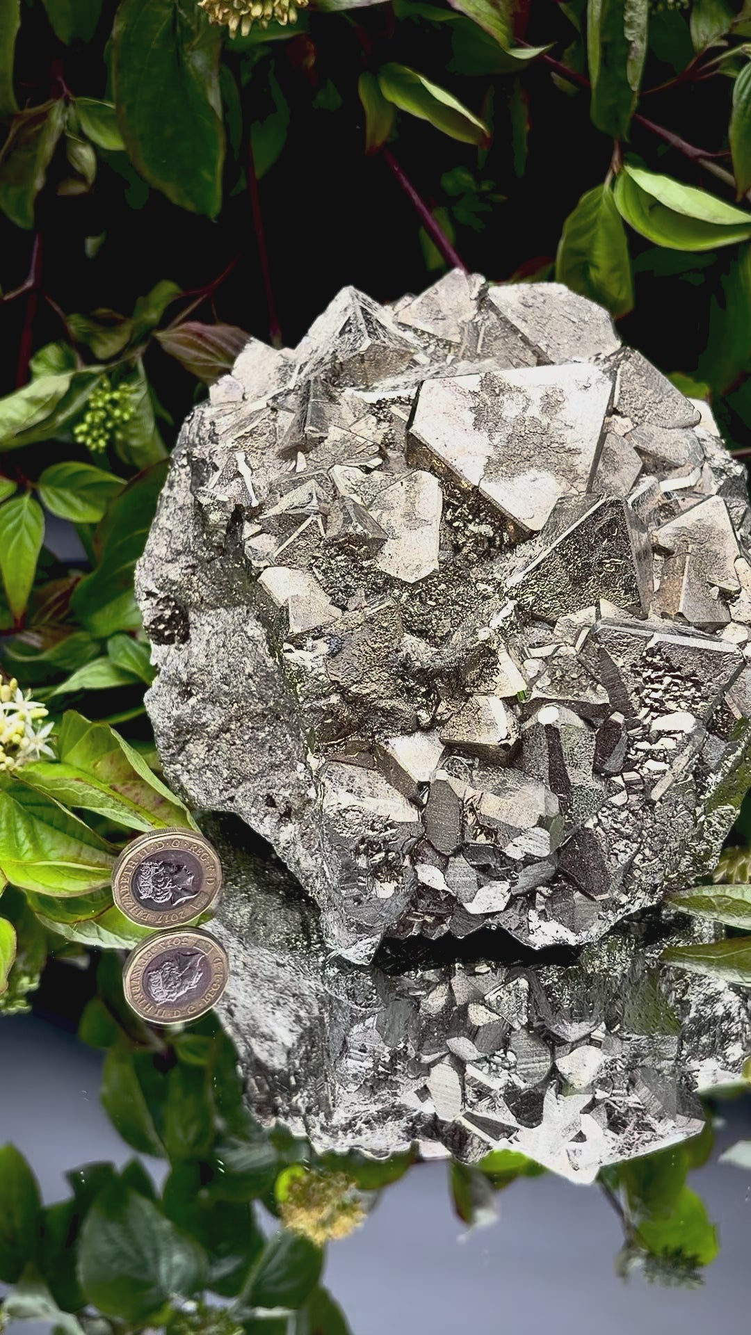 Video panning across a large Pyrite cluster to show its shimmering, light-reflecting crystals.