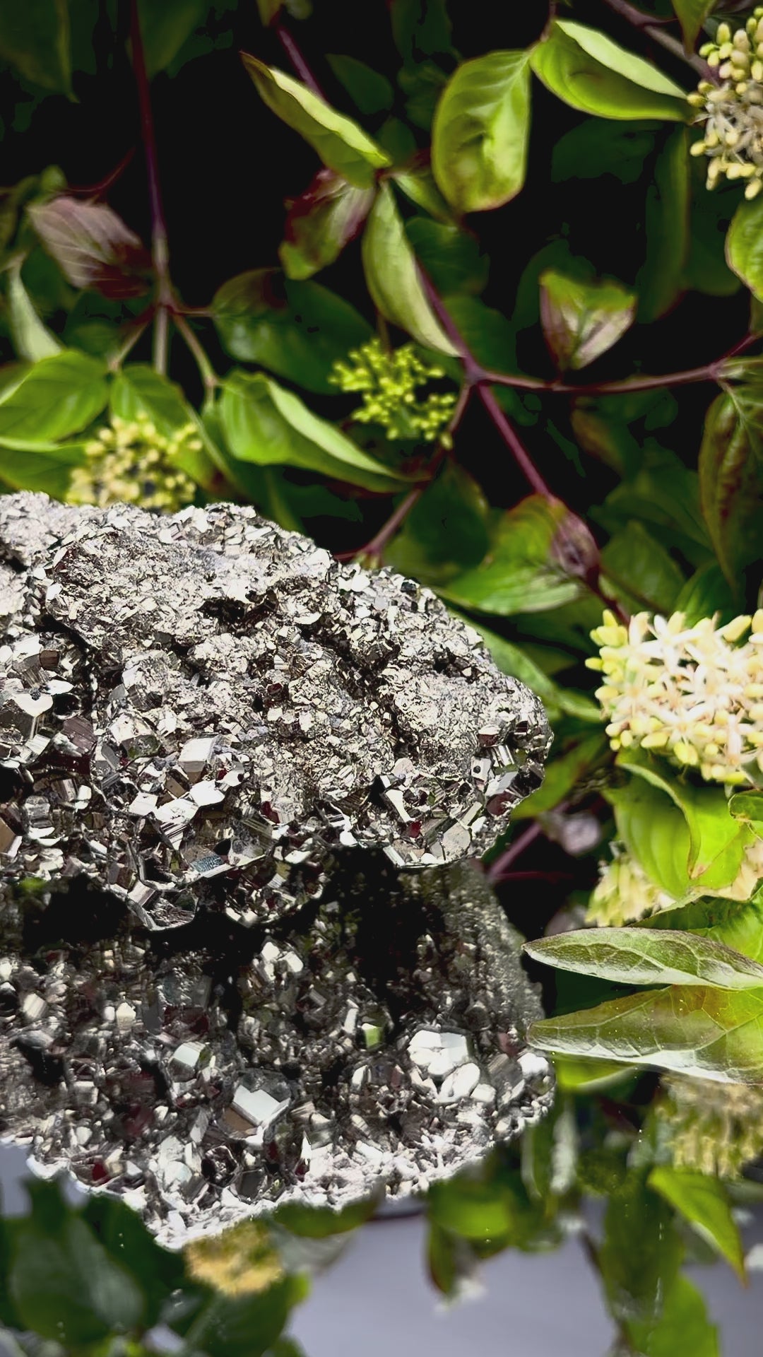 Video panning across a large Pyrite cluster to show its shimmering, light-reflecting crystals.