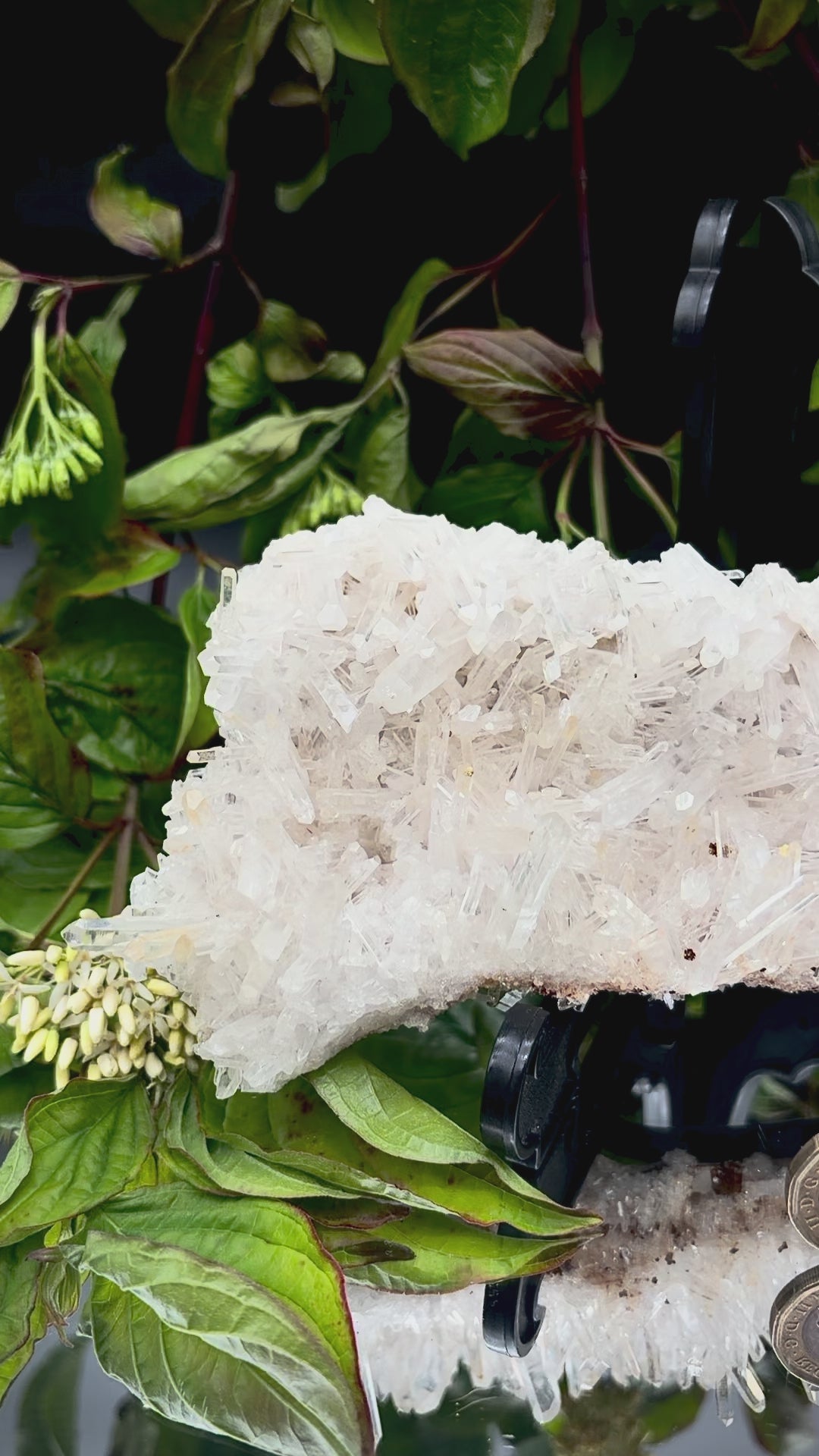 Video panning across Colombian Fine Needle Quartz to show its shimmering, light-reflecting lustre.