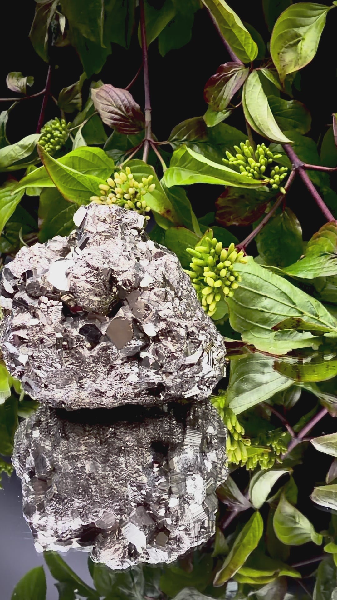 Video panning across a large Pyrite cluster to show its shimmering, light-reflecting crystals.