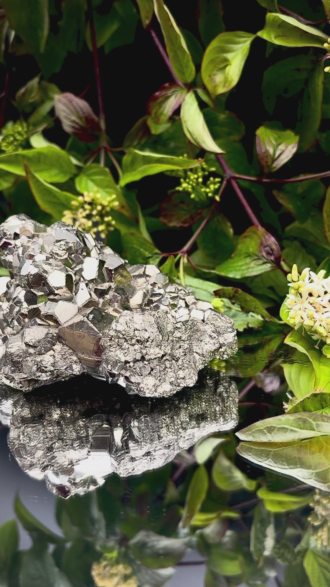 Video panning across a large Pyrite cluster to show its shimmering, light-reflecting crystals.
