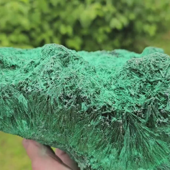 XL velvet malachite crystal specimen