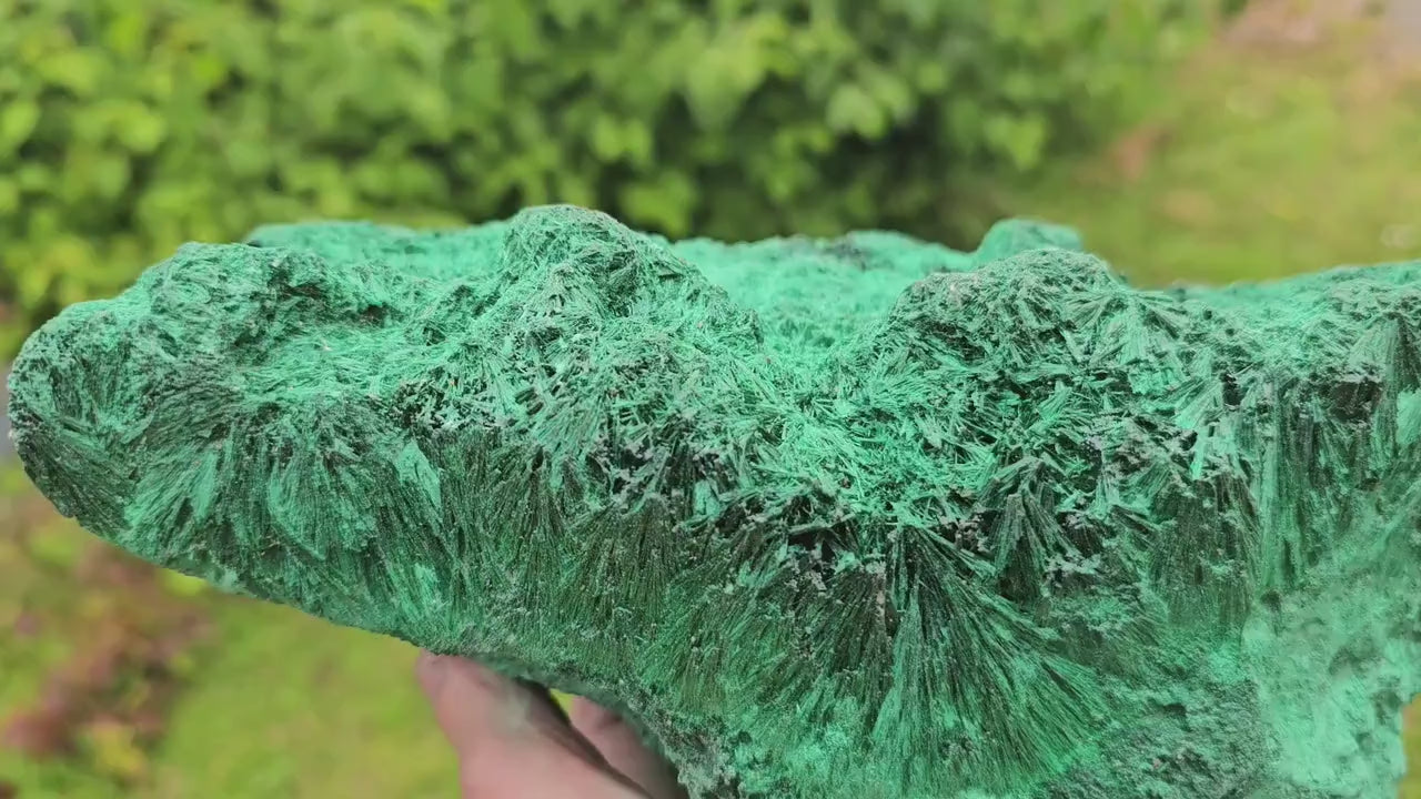 XL velvet malachite crystal specimen
