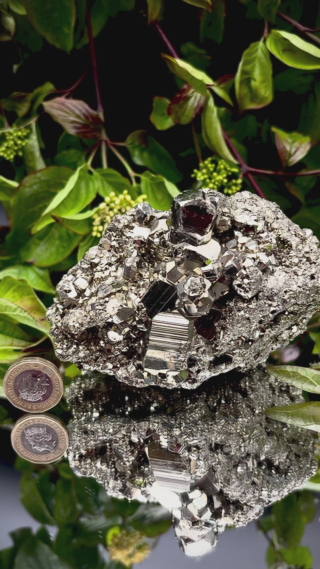 Video panning across a large Pyrite cluster to show its shimmering, light-reflecting crystals.