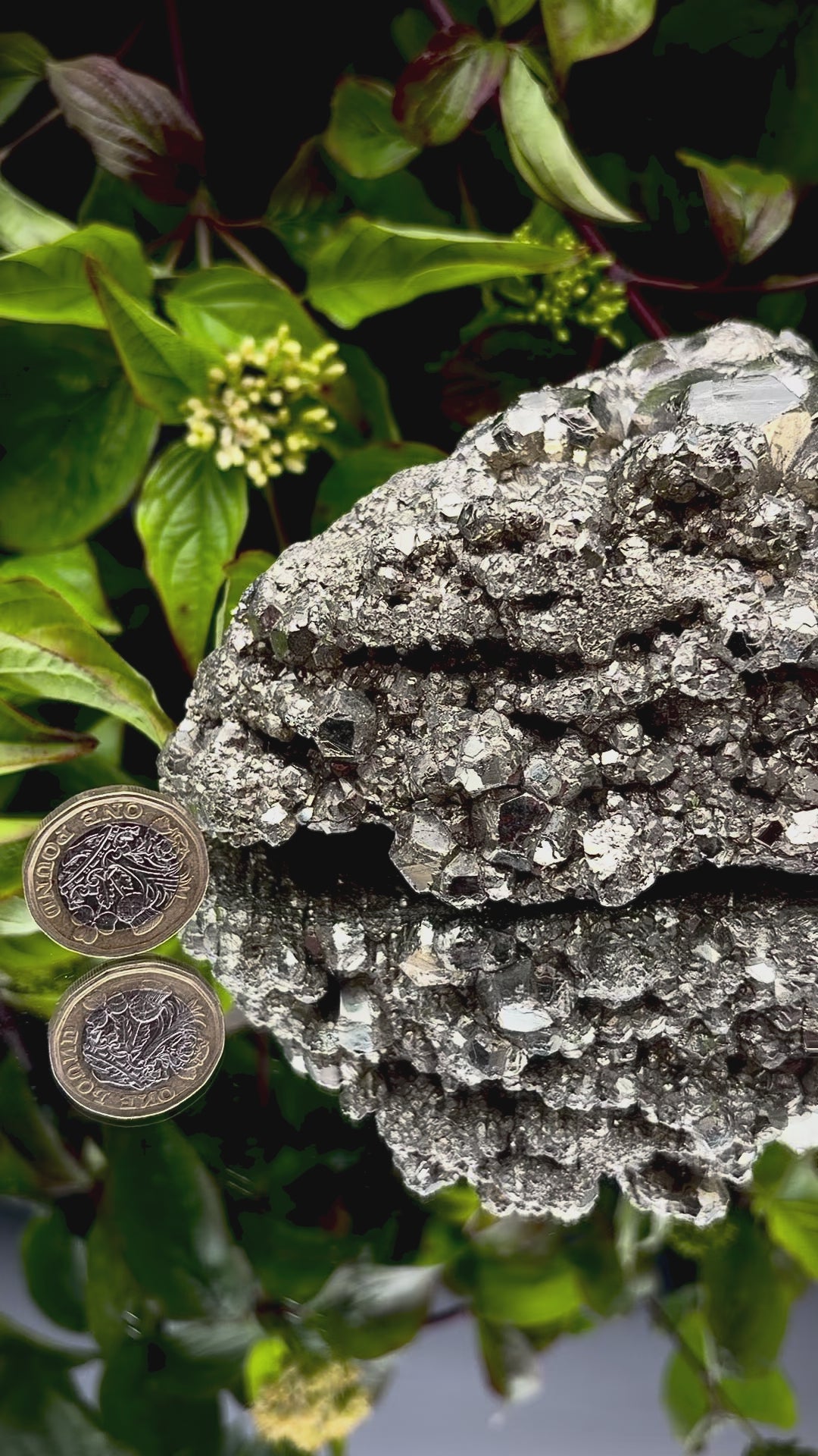 Video panning across a large Pyrite cluster to show its shimmering, light-reflecting crystals.