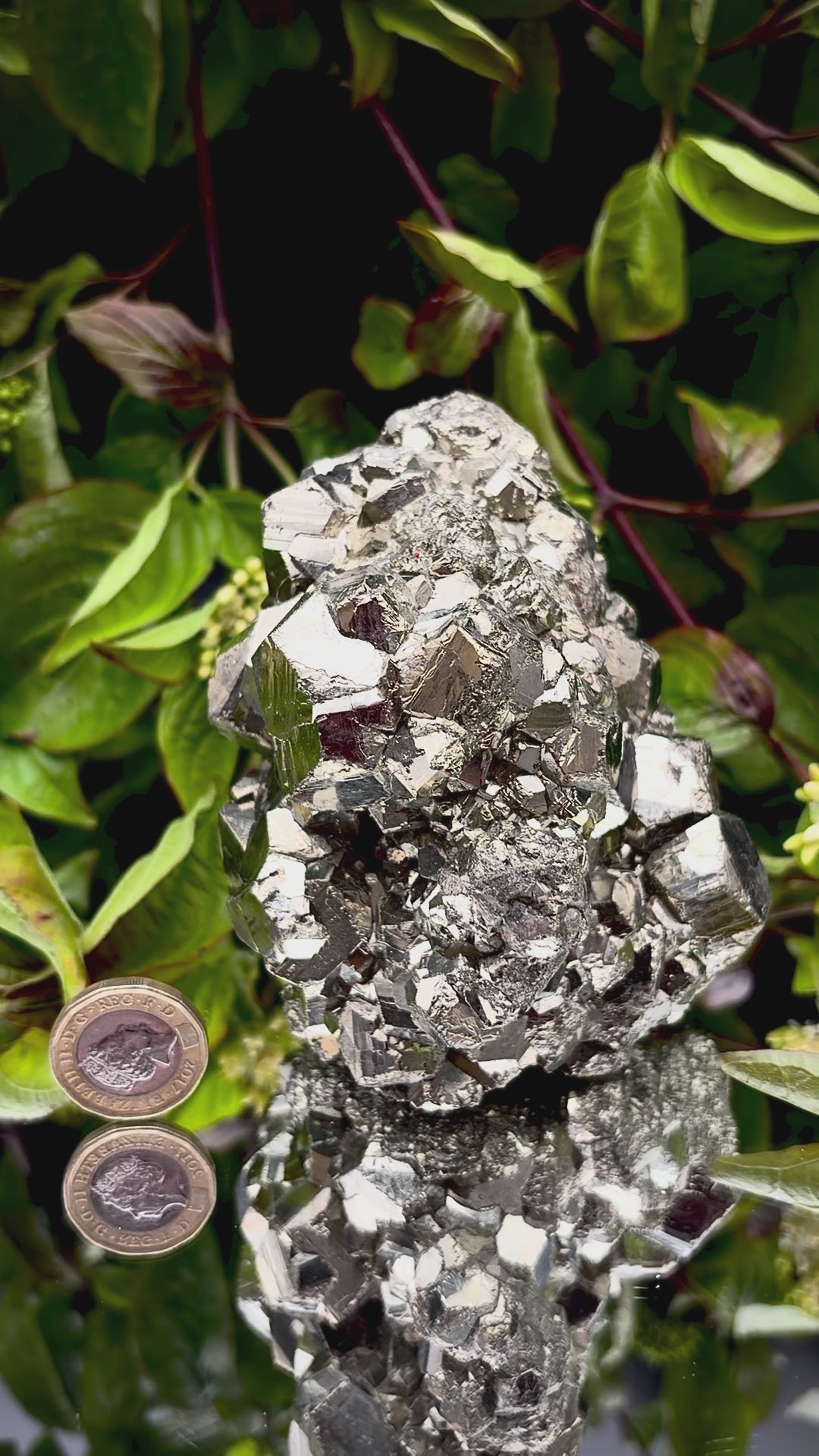 Video panning across a large Pyrite cluster to show its shimmering, light-reflecting crystals.