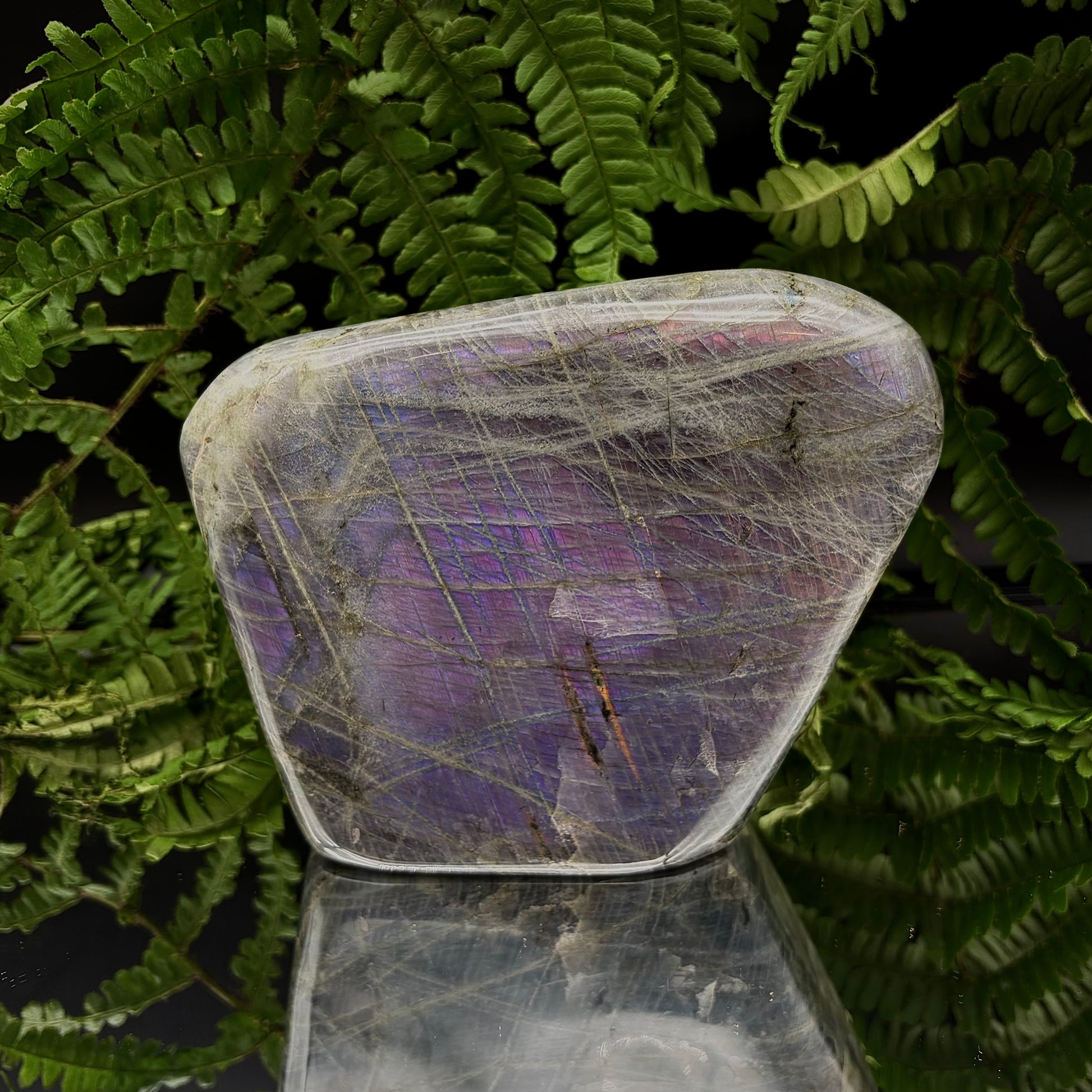 Large purple labradorite freeform showing vivid magenta and violet flash.