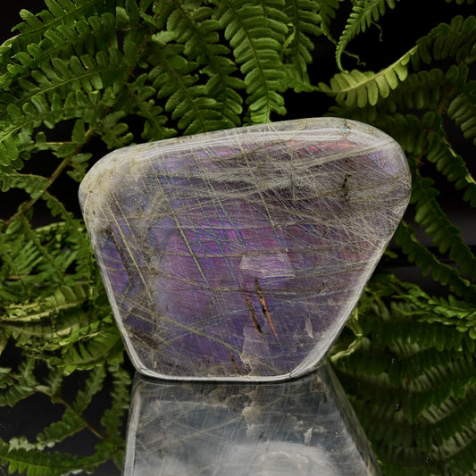 Large purple labradorite freeform showing vivid magenta and violet flash.