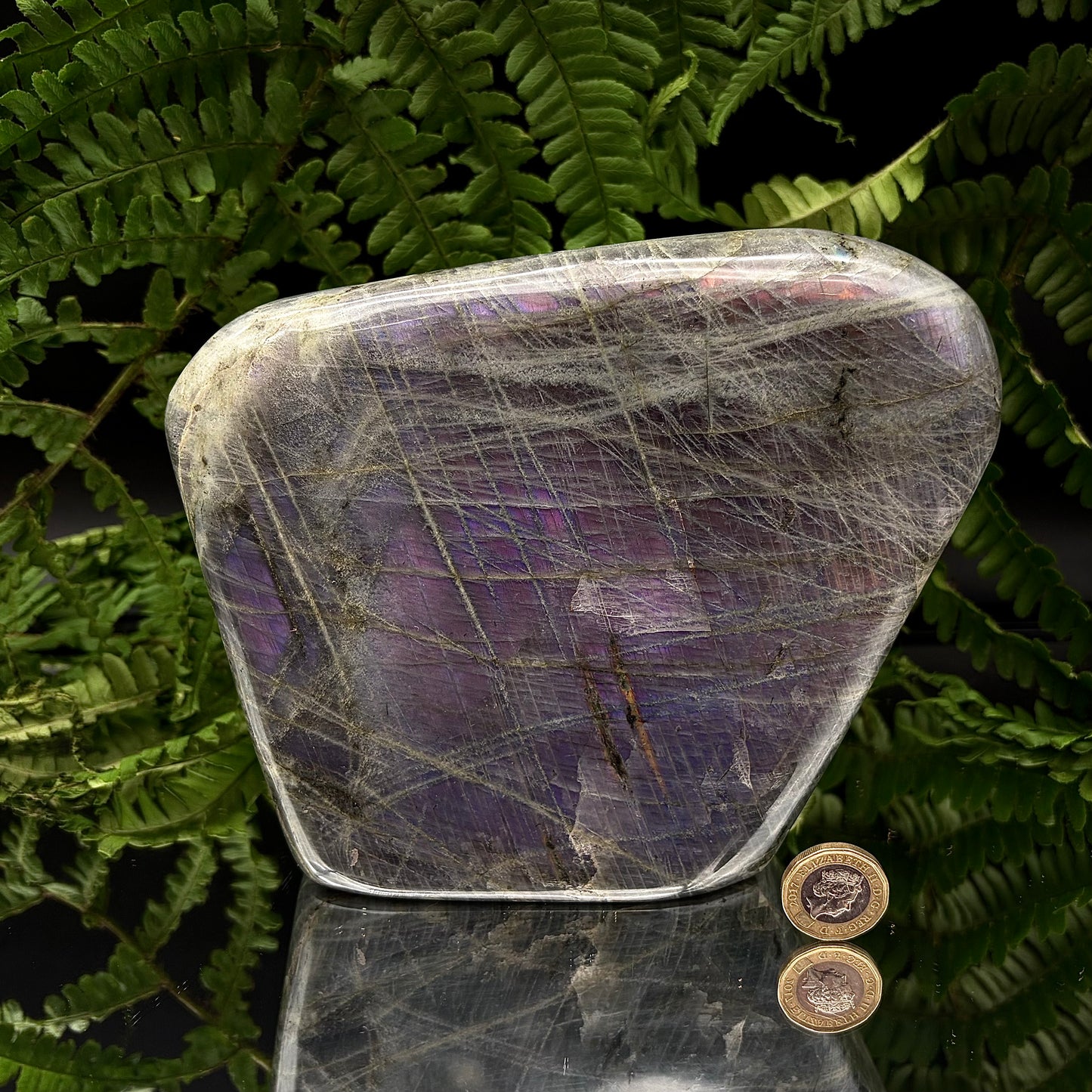 Purple labradorite next to a pound coin showing size difference.