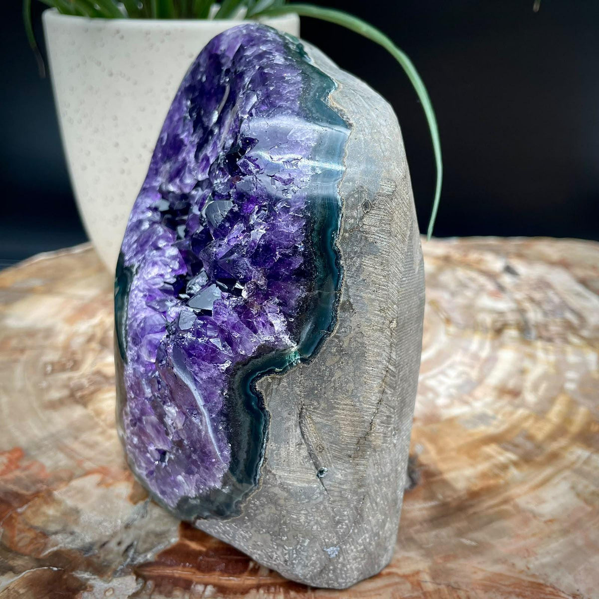 Purple Amethyst mineral cut base specimen