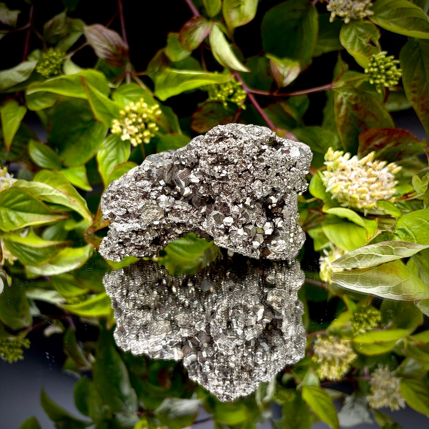 Back view of a large Pyrite cluster highlighting its bright metallic lustre and dimensions.

