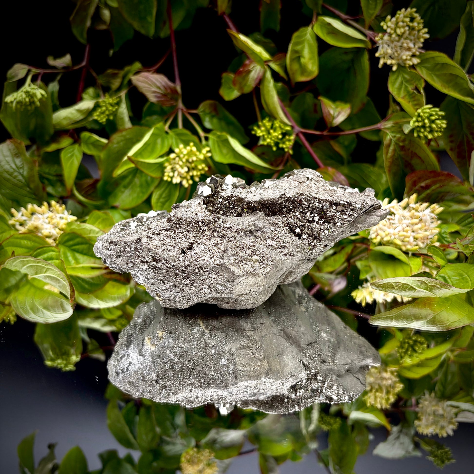 Back view of a large Pyrite cluster highlighting its bright metallic lustre.