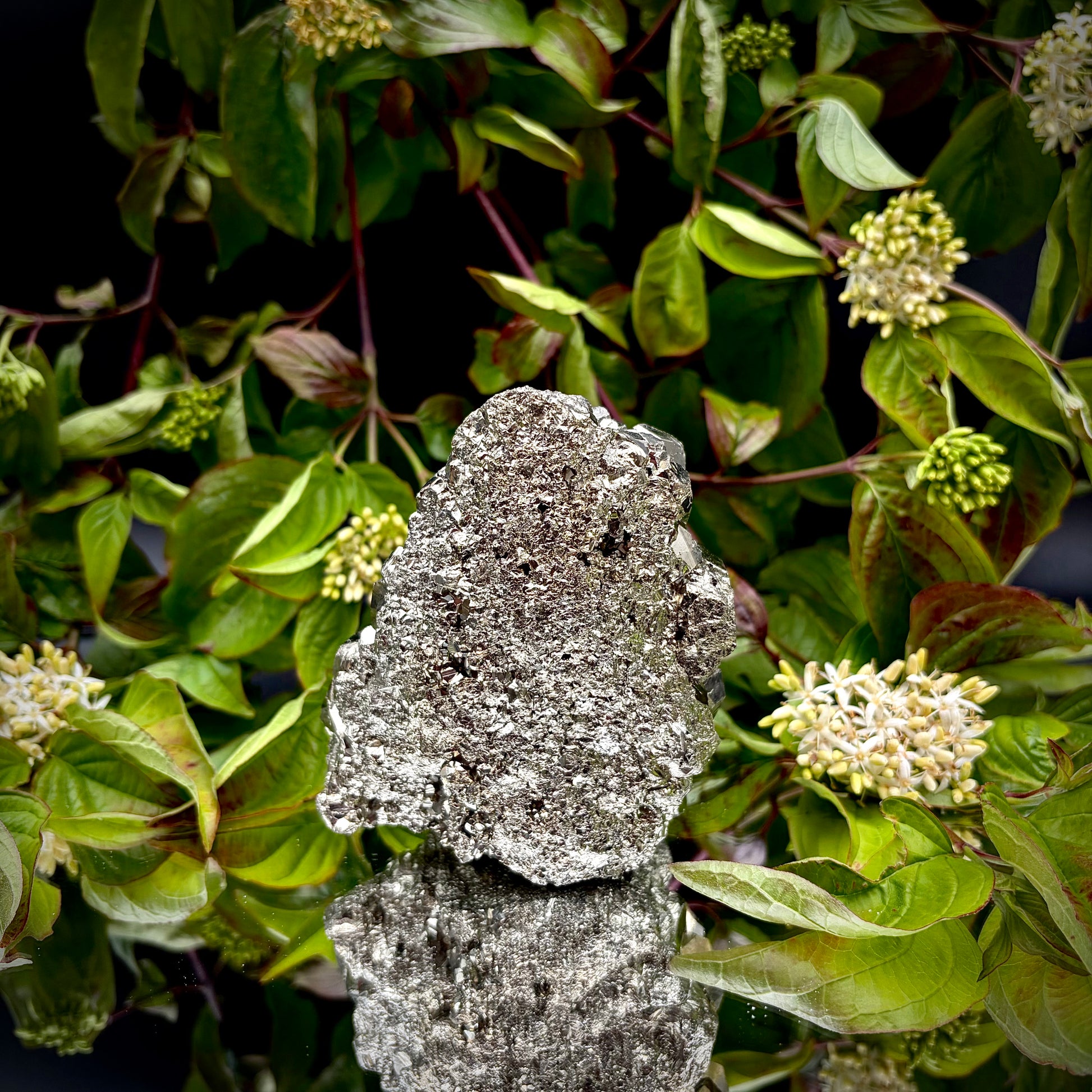 Back view of a large Pyrite cluster highlighting its bright metallic lustre.