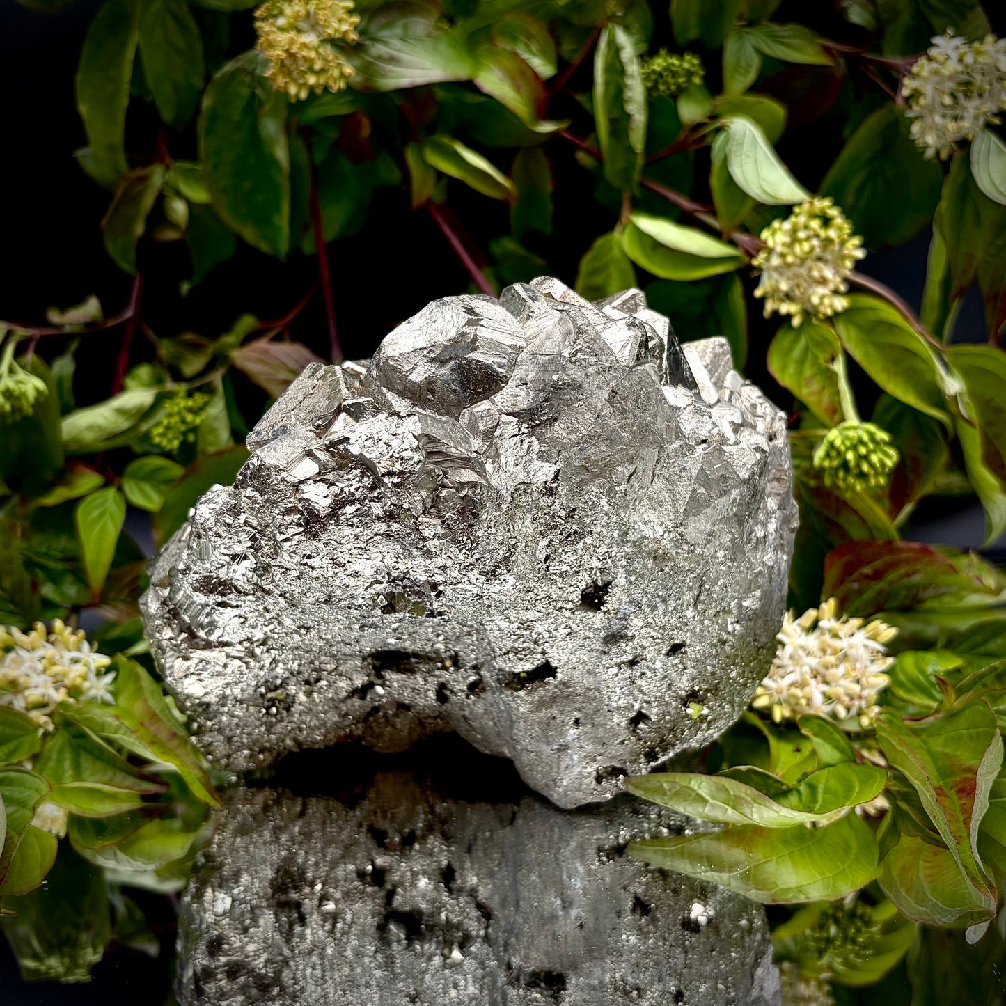Back view of a large Pyrite cluster highlighting its bright metallic lustre.
